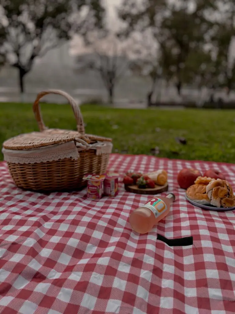 Picnic Basket vs Hamper: What’s the Difference?