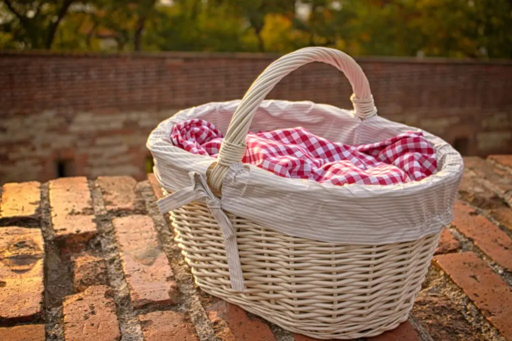 Blue Gingham Picnic Basket: A Guide to Sizes, Styles and Gifting